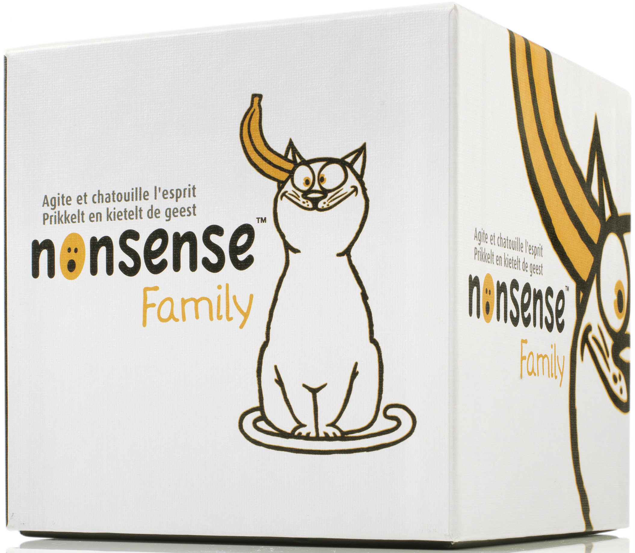 Boîte du jeu NonSense Family
