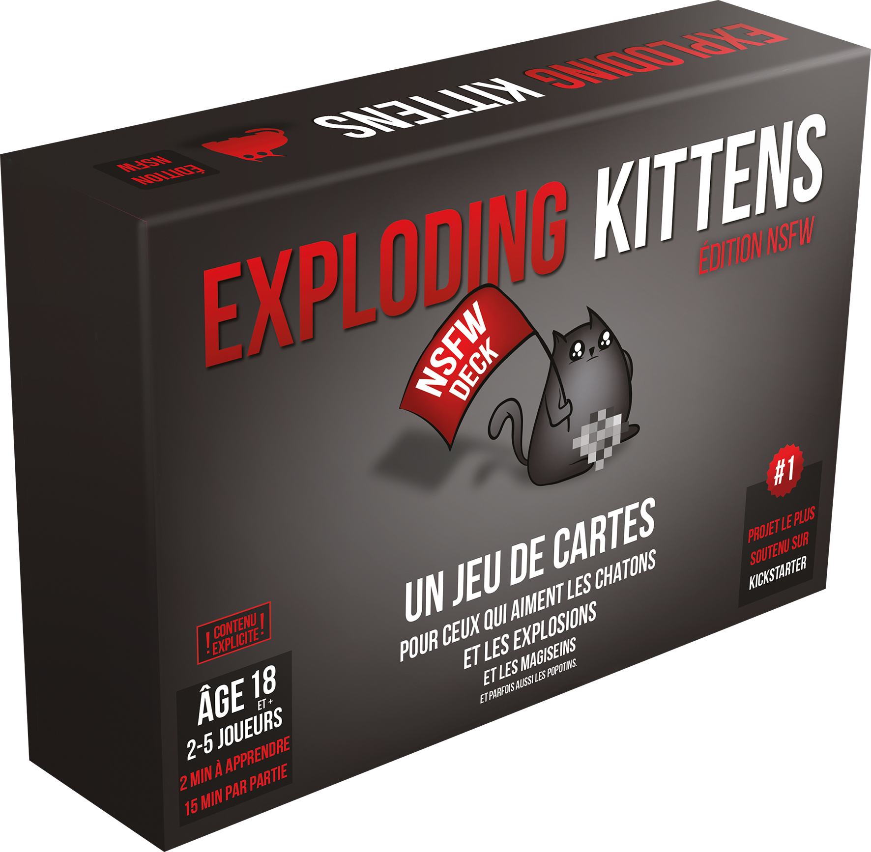 Boîte du jeu Exploding Kittens NSFW