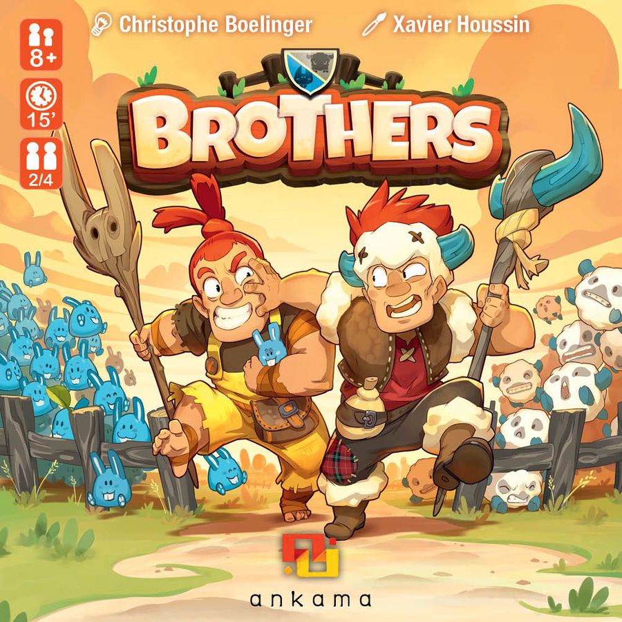 Boîte du jeu Brothers