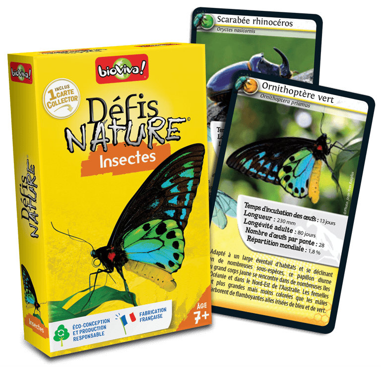 Présentation du jeu Défis Nature Insectes offert chez LilloJEUX