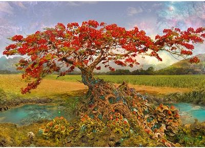 Casse-tête - Andy Thomas - Strontium tree (1000 pièces) - Heye