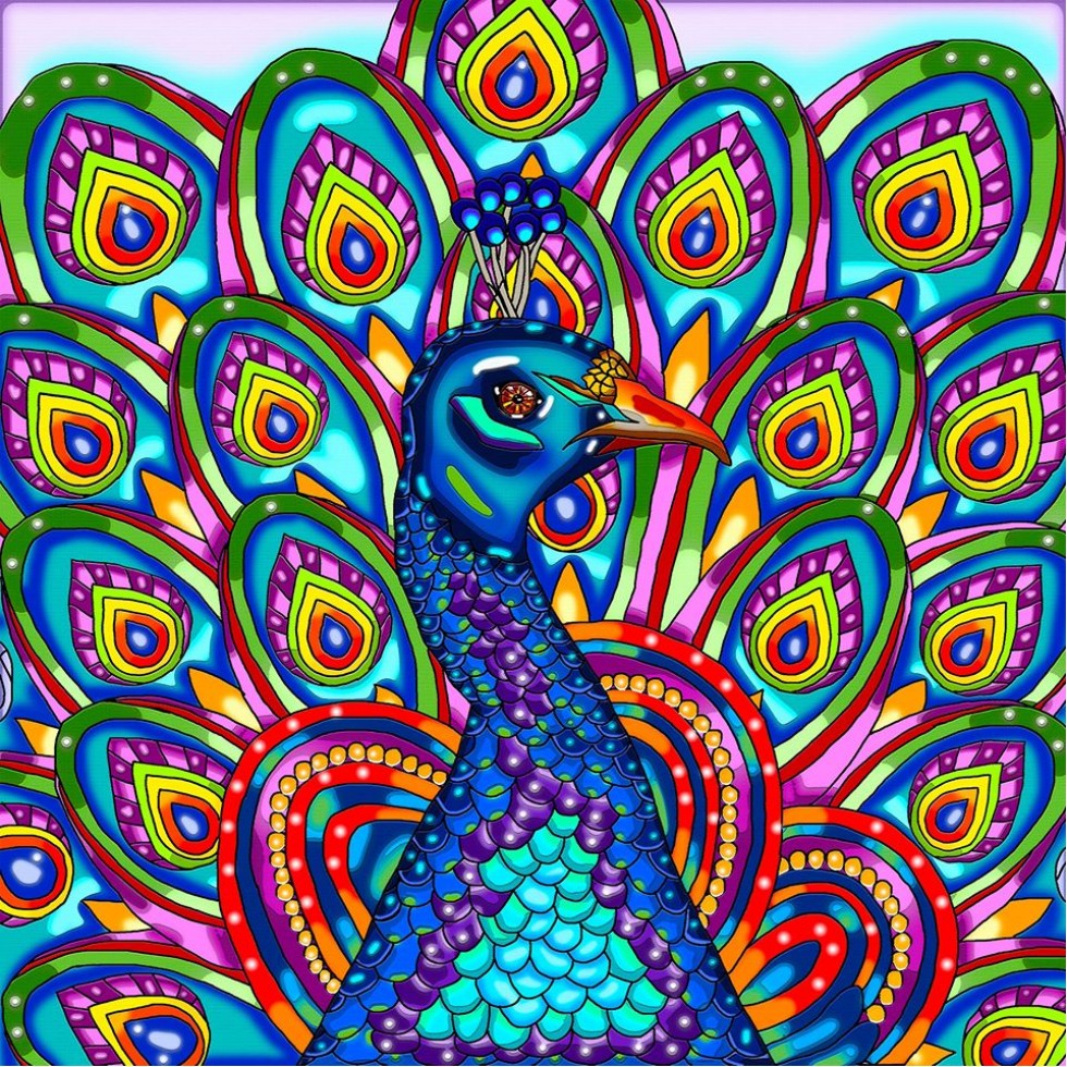 Broderie de Diamants – Paon (50 x 50)