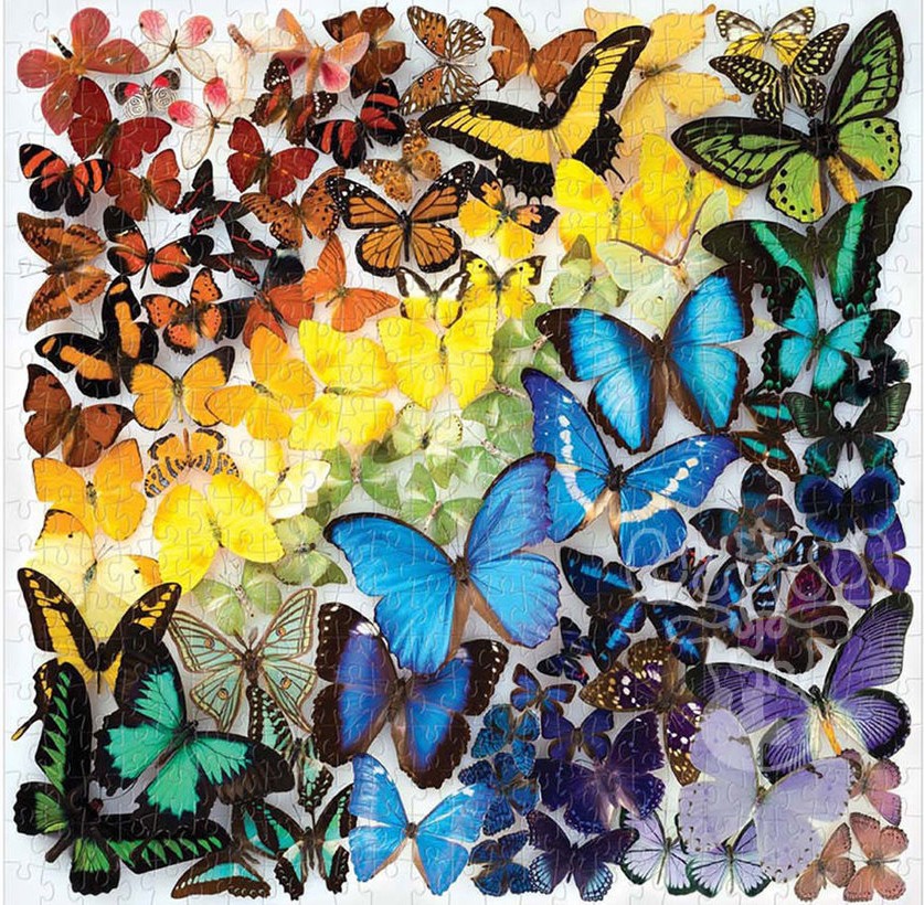 Boîte du casse-tête Rainbow Butterflies (500 pièces) - Galison