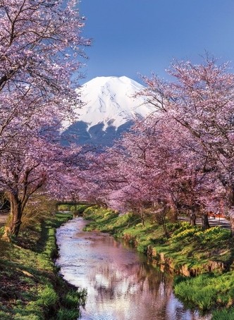 Boîte du casse-tête Fuji Mountain (1000 pièces) - Clementoni