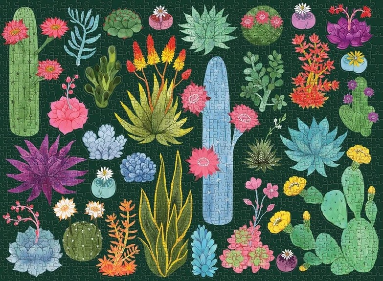 Boîte du casse-tête Desert Flora (1000 pièces) - Galison Mudpuppy