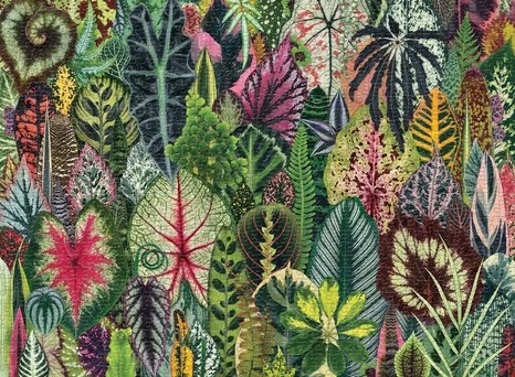 Boîte du casse-tête Houseplant Jungle (1000 pièces) - Galison Mudpuppy