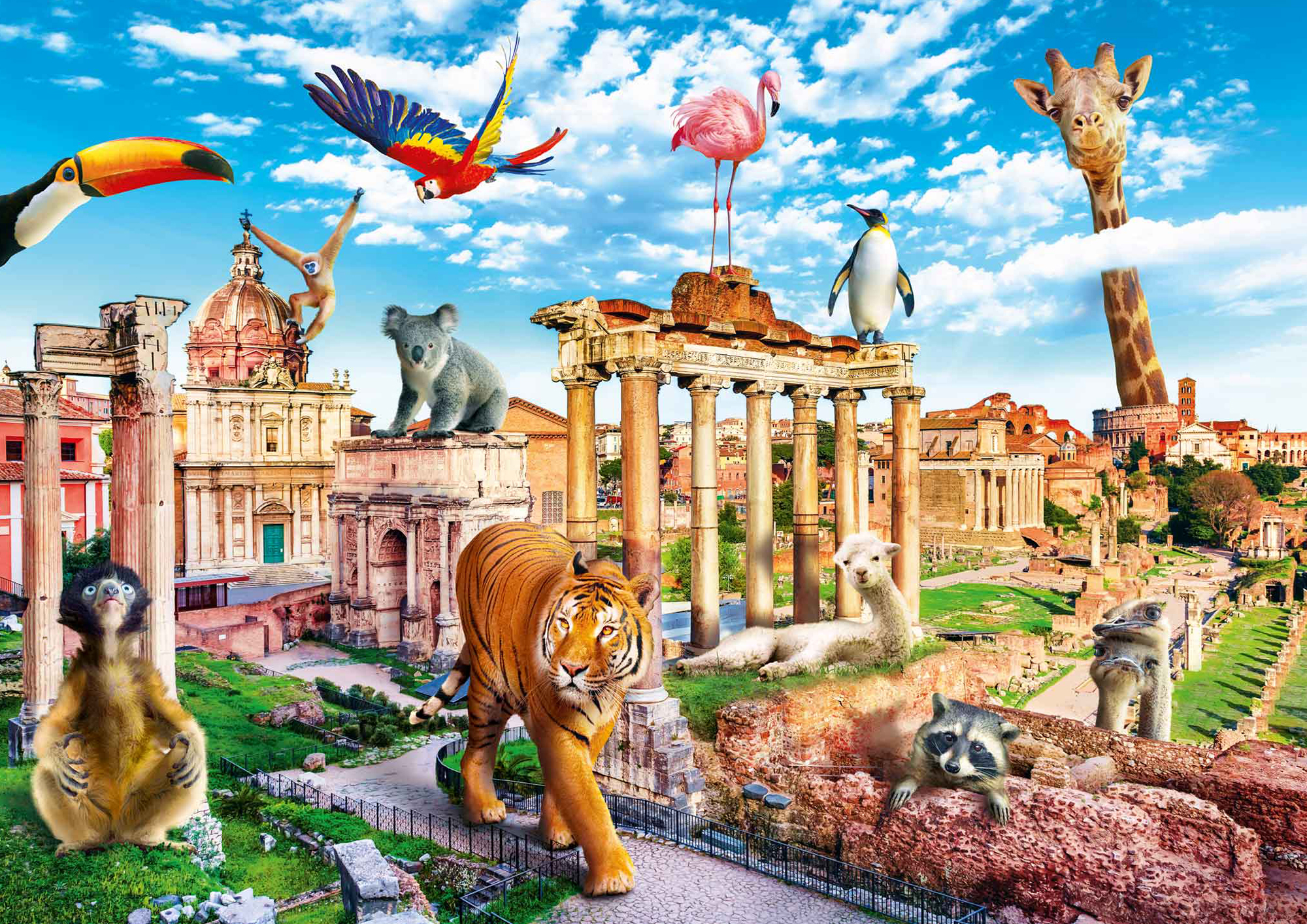 Boîte du casse-tête Safari à Rome (1000 pièces) - Trefl