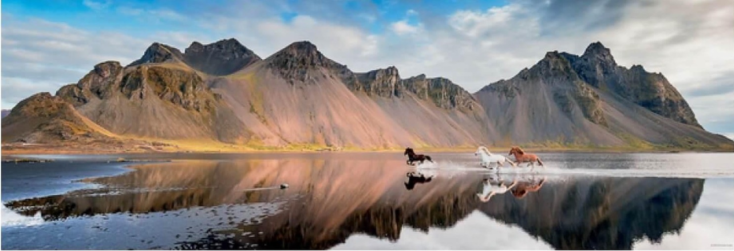 Boîte du casse-tête Iceland Horses (1000 pièces) - Heye