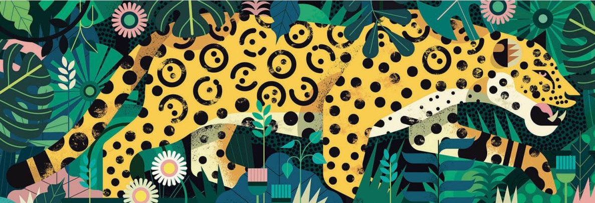 Boîte du casse-tête Gallery - Leopard (1000 pièces) - Djeco