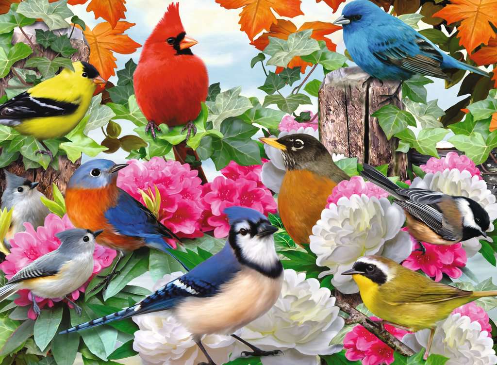 Oiseaux de jardin (500 pièces) – Ravensburger