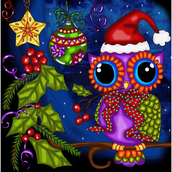 Broderie de Diamants – Noël c’est Chouette (30 x 30)