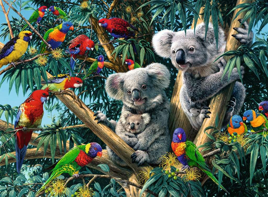Koalas dans un arbre (500 pièces) – Ravensburger