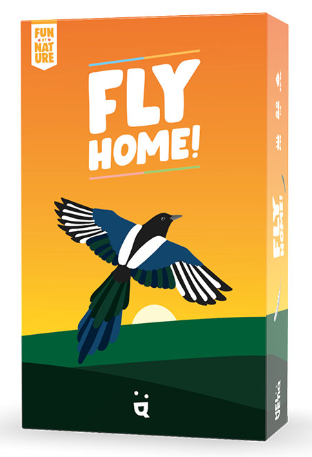 Boîte du jeu Fly Home (VF)
