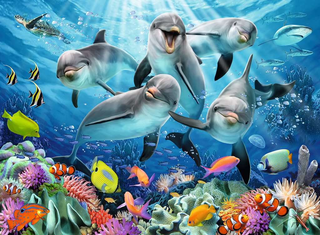 Dauphins sur le récif de corail (500 pièces) – Ravensburger