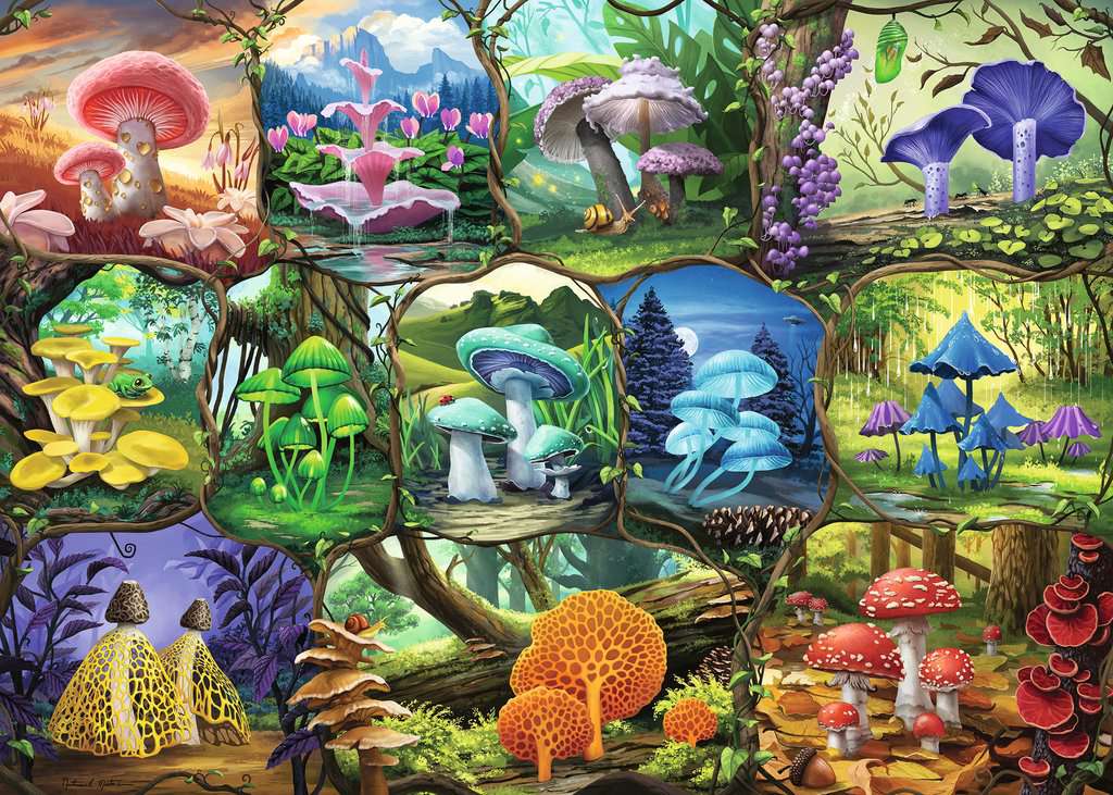 Magnifiques Champignons (1000 pièces) – Ravensburger