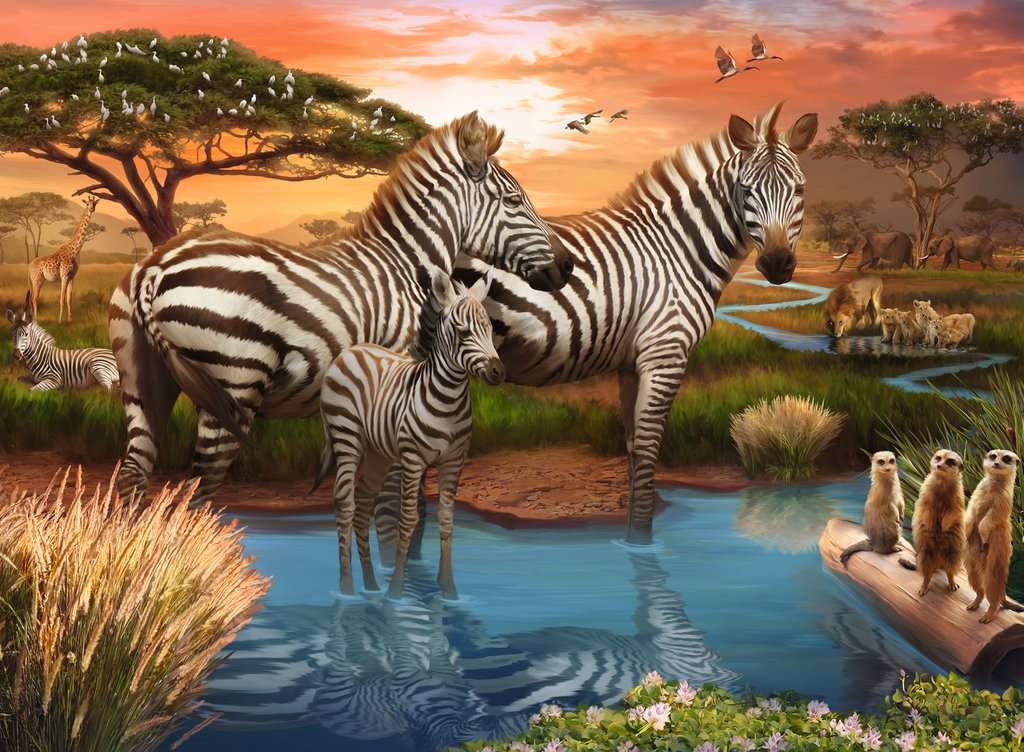 Zèbre (500 pièces) – Ravensburger