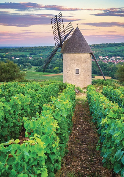 Boîte du jeu Moulin Sorine du Vignoble de Santenay, Bourgogne (1000 pièces) - Nathan