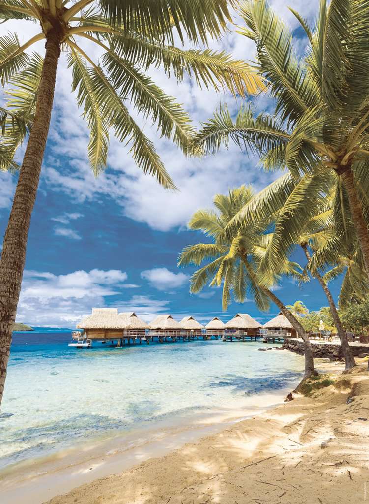 Plage de Bora-Bora, Polynésie Française (500 pièces) – Nathan