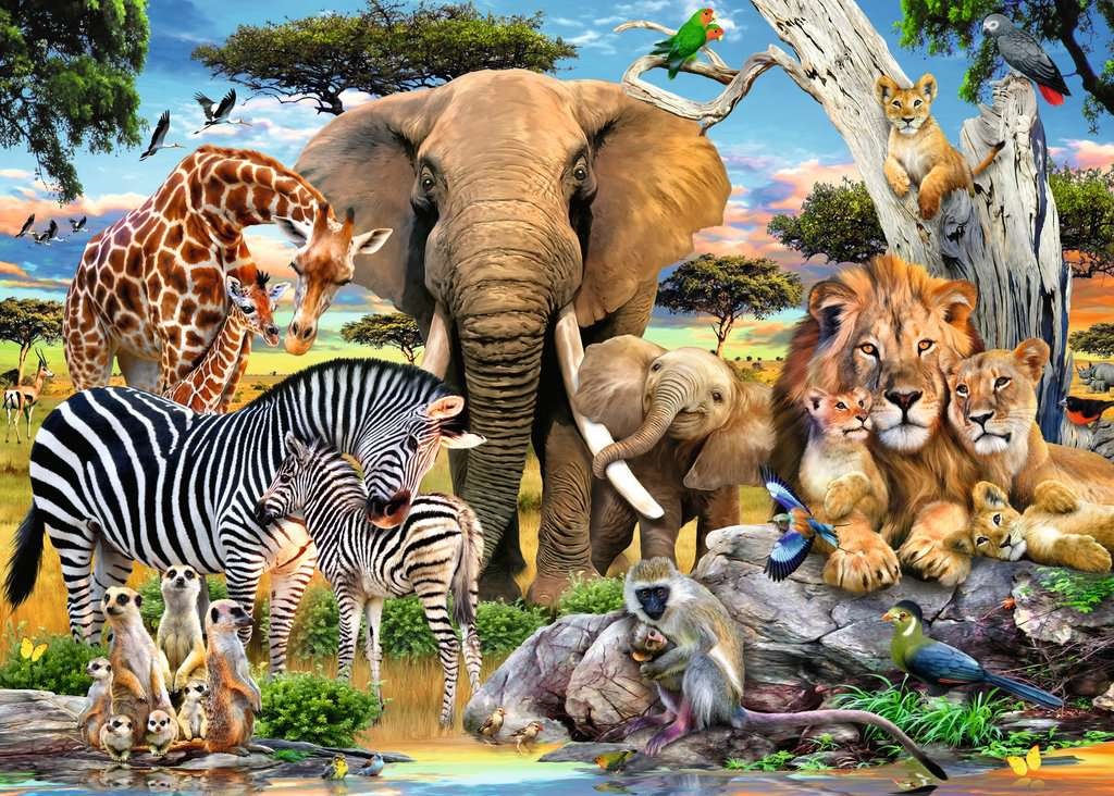 Baby Love (500 pièces) – Ravensburger
