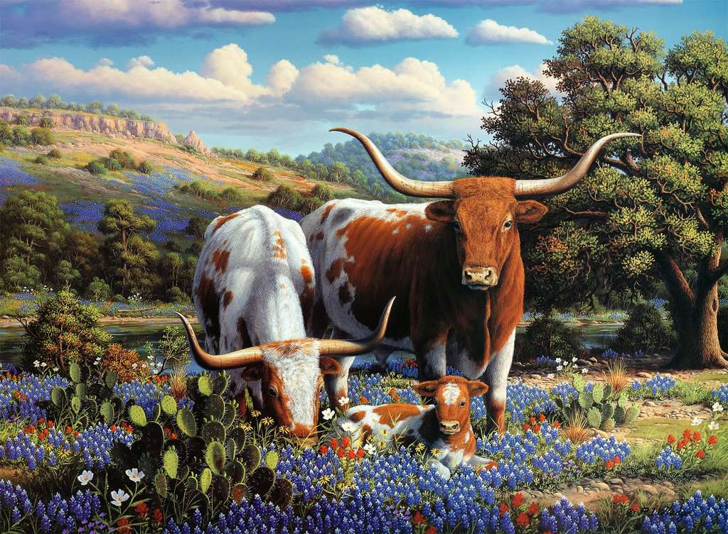 Loving Longhorns (500 pièces) – Ravensburger