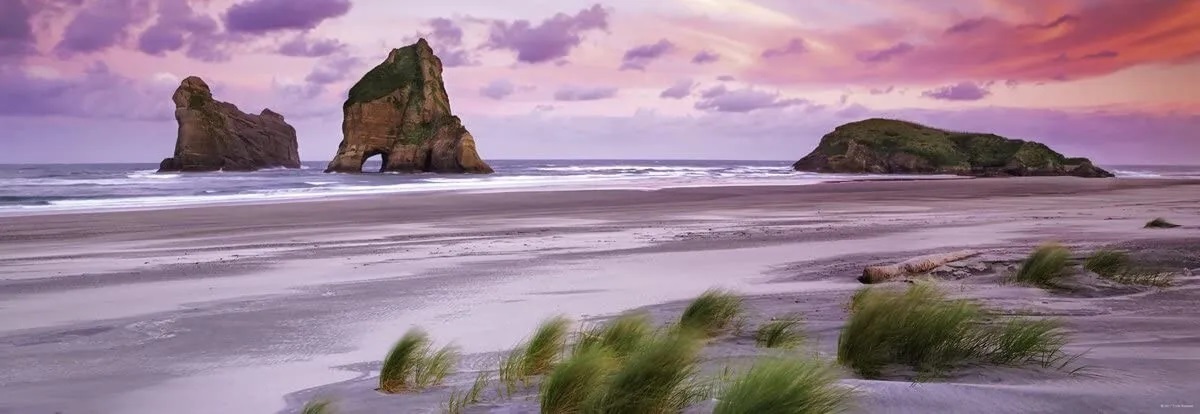 Alexander Von Humboldt – Wharariki Beach (1000 pièces) Heye