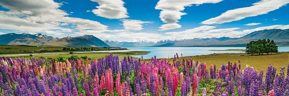 Alexander Von Humboldt – Lake Tekapo (1000 pièces) Heye