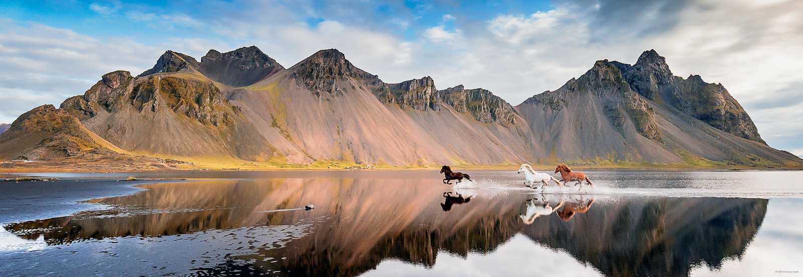 Alexander Von Humboldt – Iceland Horses (1000 pièces) Heye