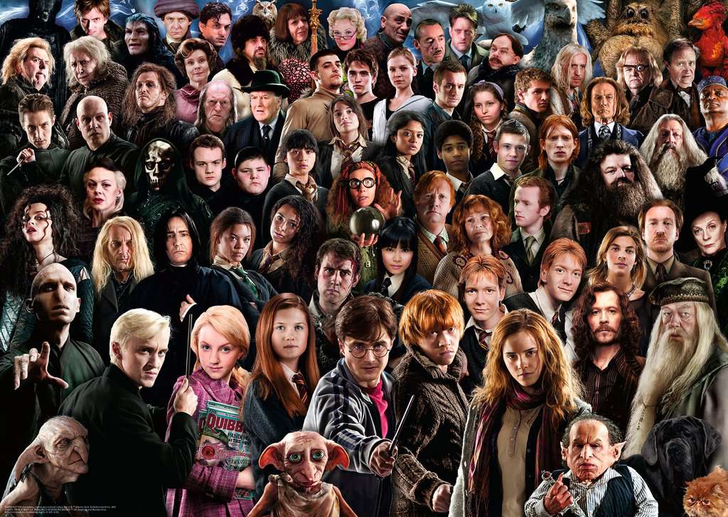 Harry Potter Challenge (1000 pièces) – Ravensburger