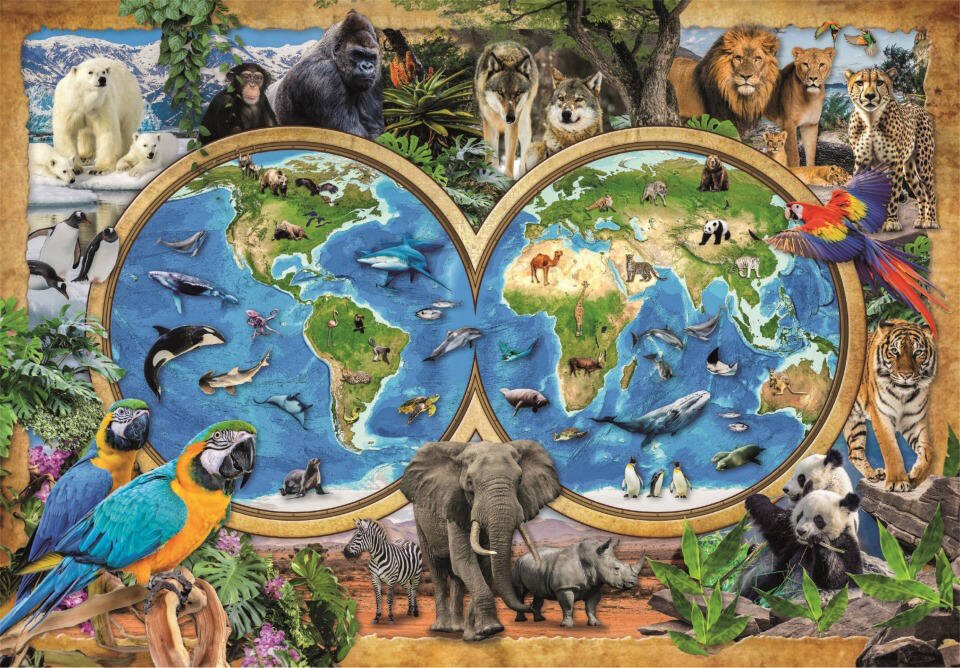 Le Monde Merveilleux des Animaux (300 pièces) – Clementoni