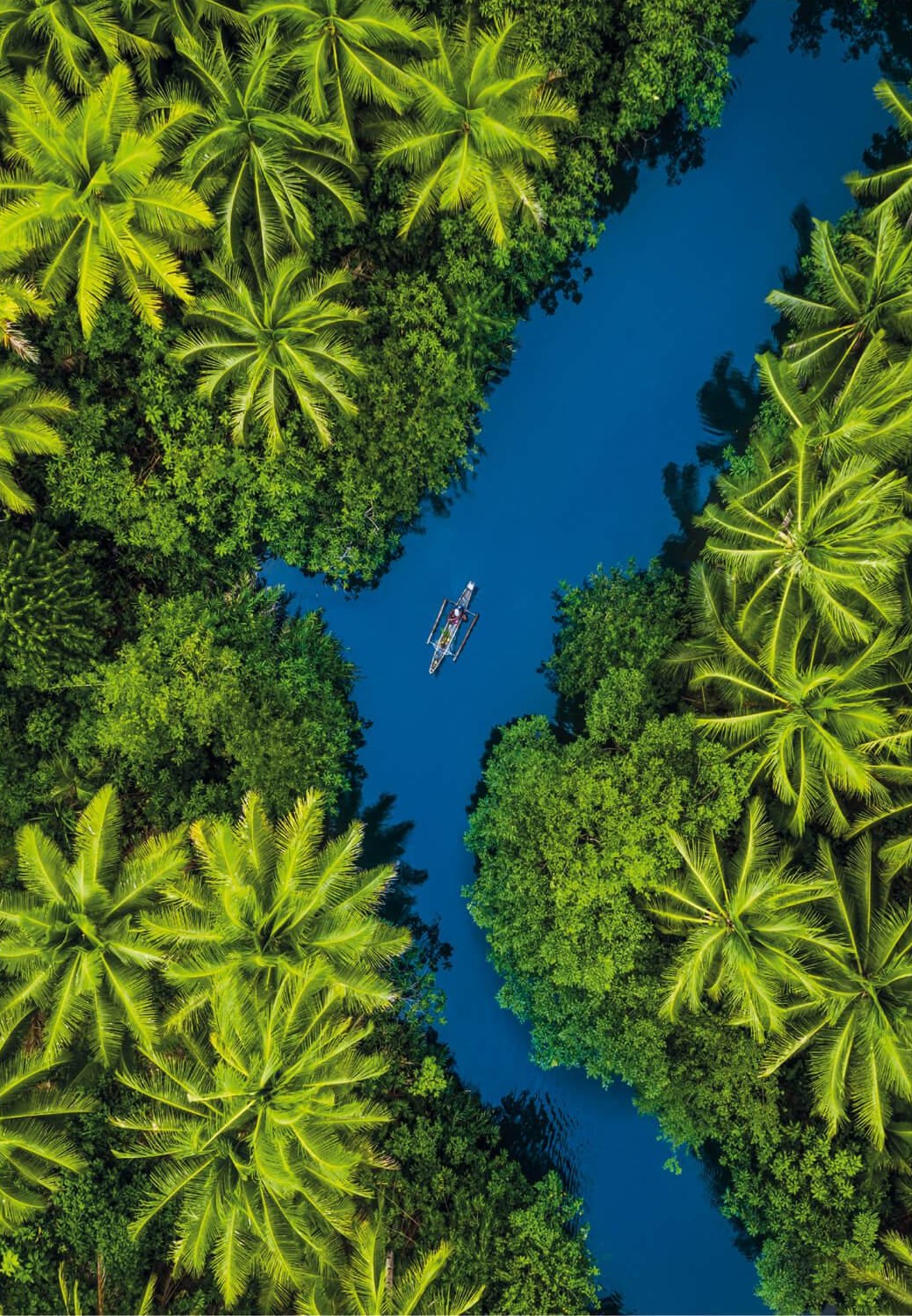 Vue Aérienne Tropicale (500 pièces) – Clementoni