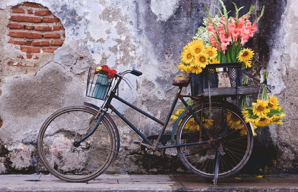 Puzzle Moments – Bicyclette (200 pièces) – Ravensburger