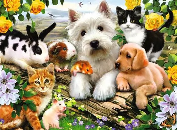 Animaux Amis (300 pièces) – Ravensburger