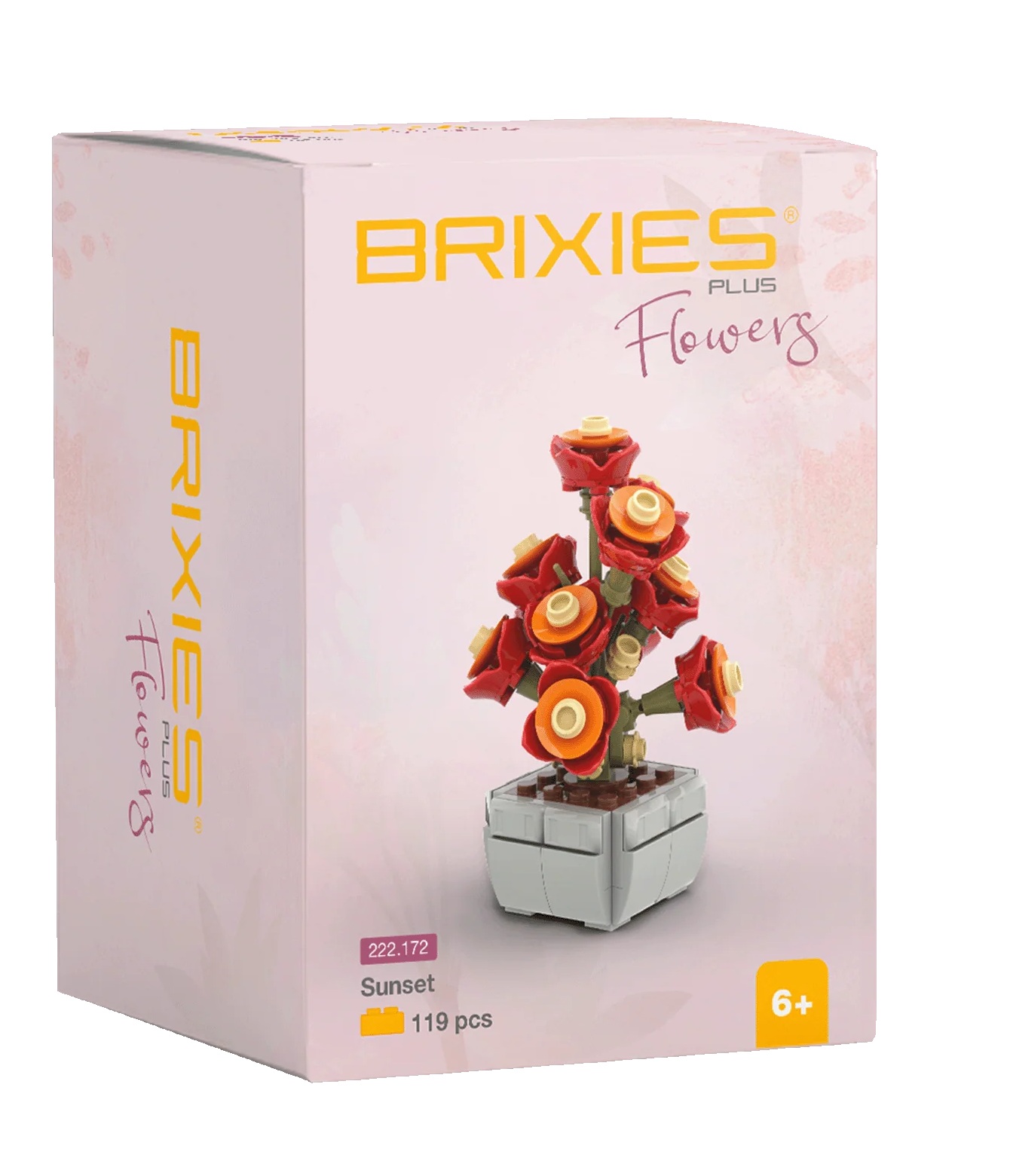 Brixies Plus – Mini Bouquet Coucher de Soleil