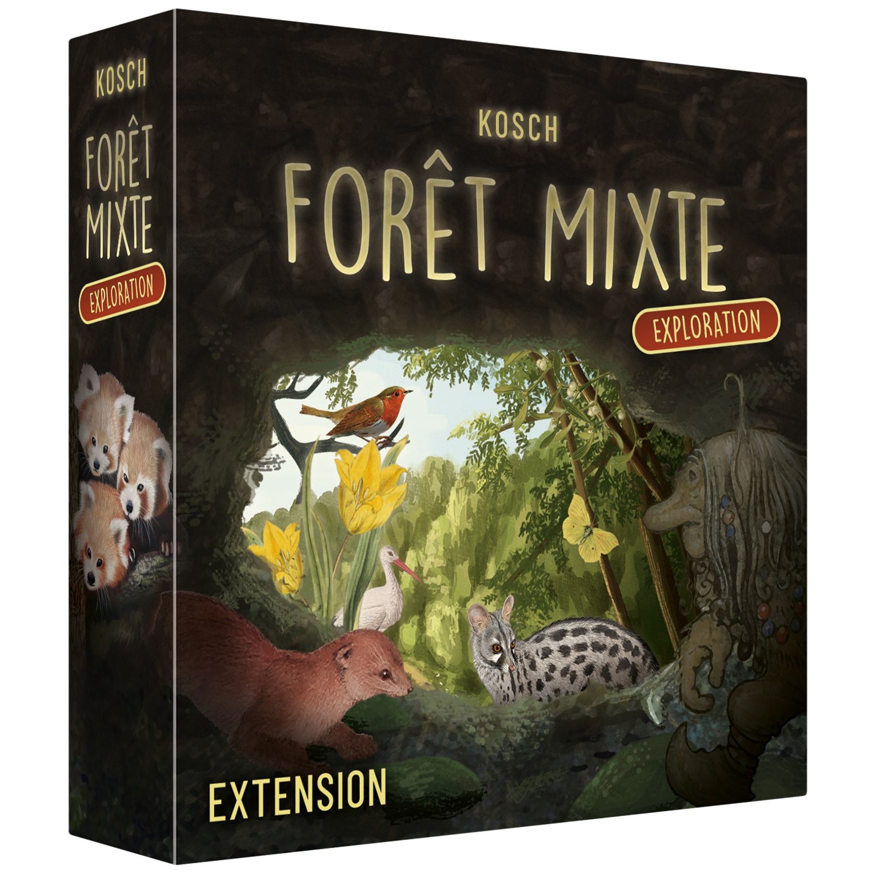 Forêt Mixte – Exploration (ext)