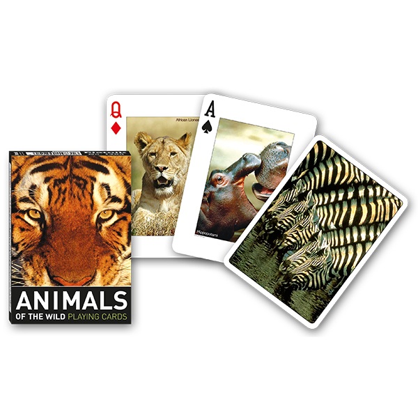 Jeu de cartes Simple – Animals of the Wild