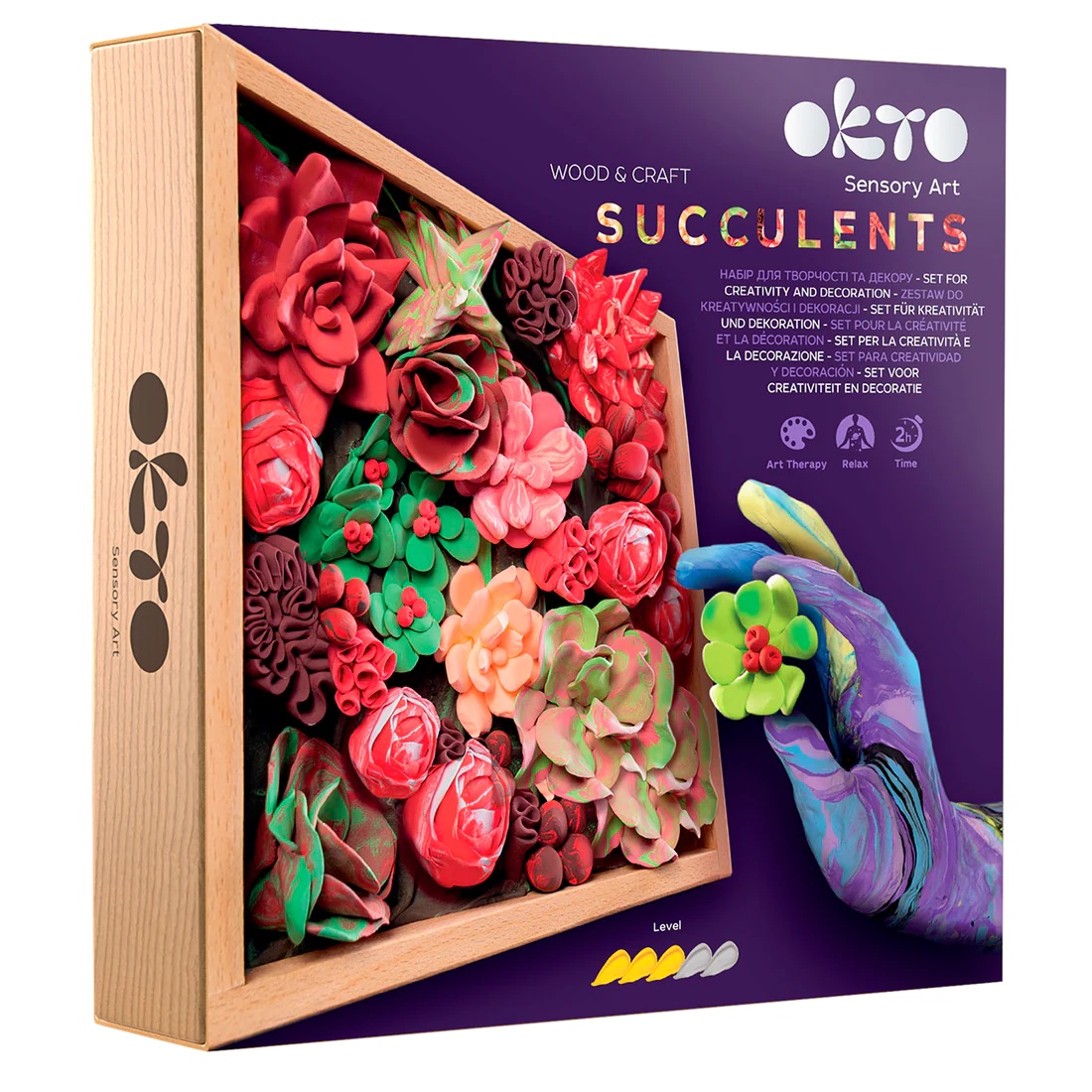 Wood & Craft – Succulentes Passion (ML)