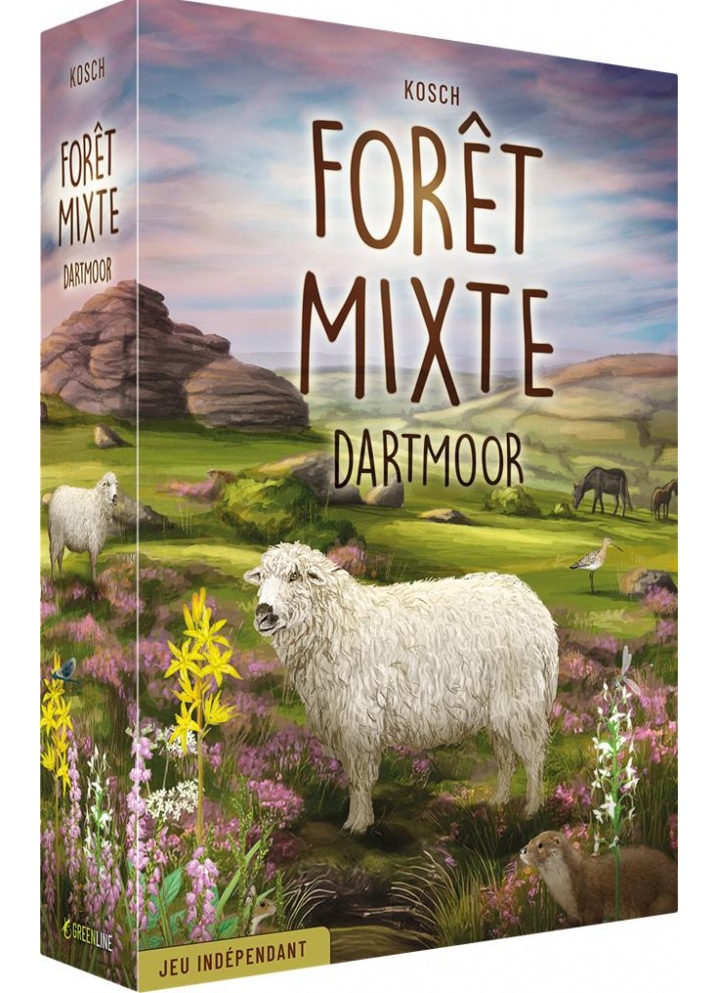 Forêt Mixte – Dartmoor (VF)