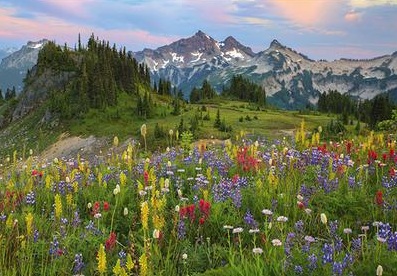 Alexander Von Humboldt – Tatoosh Mountains (2000 pièces) Heye