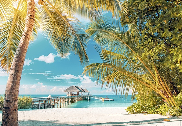 Plage Paradisiaque (1500 pièces) – Nathan