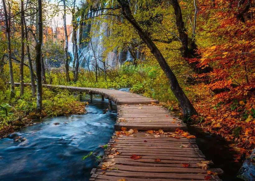 Beautiful Walkways – Automnal Forest Patch (1000 pièces) – Ravensburger